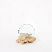 Online Designer Living Room White Stone Terrariums