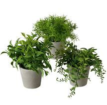 Online Designer Kitchen Artificial Plants - Set of 3