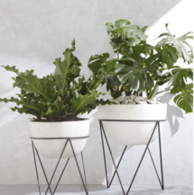 Online Designer Combined Living/Dining Planter