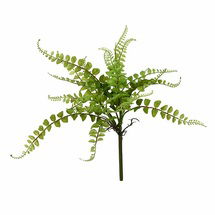 Online Designer Living Room Spray Fern Plant