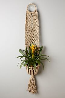 Online Designer Patio Macrame Plant Hanger