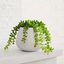 Online Designer Combined Living/Dining Faux Trailing Succulent Plant & Pure Ceramic Planter Bundle
