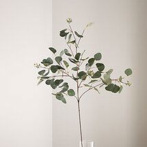 Online Designer Kitchen Silver Dollar Faux Eucalyptus Stem