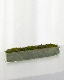 Online Designer Living Room 24" Moss Mound Arrangement