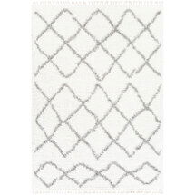 Online Designer Other Gray and white shag rug 