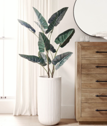 Online Designer Bedroom Faux Alocasia Tree - 5'