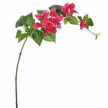 Online Designer Bedroom Bougainvillea Stem (Set of 3)