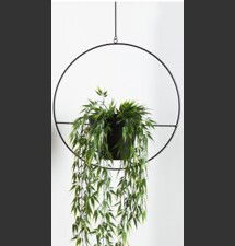 Online Designer Dining Room Isai Hoop Metal Hanging Planter