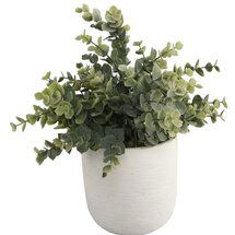 Online Designer Living Room Texture Eucalyptus Plant in Planter