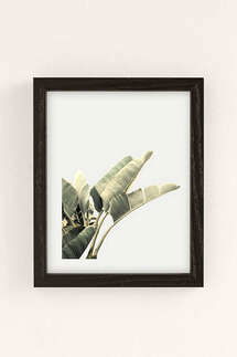 Online Designer Living Room Wilder California Beverly Hills Banana Tree Art Print