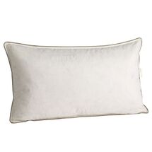 Online Designer Living Room Decorative Pillow Insert – 12”x21