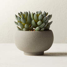 Online Designer Home/Small Office POTTED FAUX SUCCULENTS 4.25"