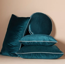 Online Designer Home/Small Office Adelina Velvet Pillow