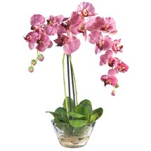 Online Designer Living Room Orchid with Glass Vase