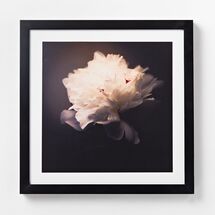 Online Designer Bedroom Minted for west elm - A White Peony