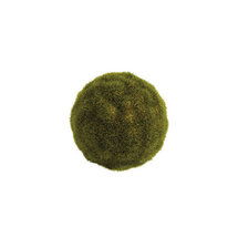 Online Designer Hallway/Entry Moss Sphere