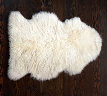 Online Designer Living Room SHEEPSKIN RUG,