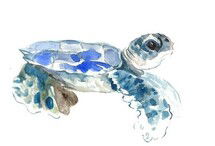 Online Designer Living Room Seaturtle Painting Print