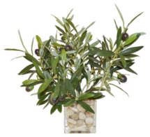 Online Designer Living Room 12" Olive Branches in Cube Vase, Faux