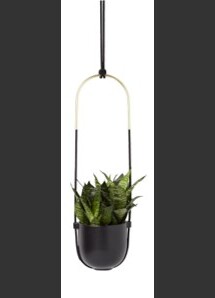 Online Designer Hallway/Entry Bolo Hanging Planter