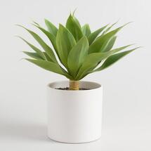 Online Designer Living Room Faux Potted Agave Plant