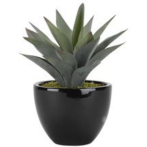 Online Designer Living Room 11.5'' Faux Succulent Plant in Ceramic Planter