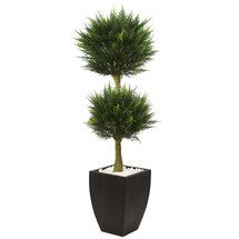 Online Designer Other Floor Boxwood Topiary in Planter