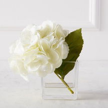 Online Designer Bathroom Hydrangea In Glass Vase