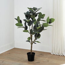 Online Designer Living Room Faux Rubber Tree (Below Client Mirror)