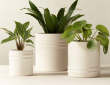 Online Designer Living Room VIV WHITE PLANTER SET OF 3