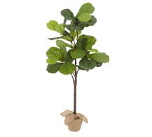 Online Designer Combined Living/Dining Faux Potted Fiddle Leaf Trees