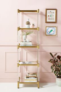 Online Designer Kitchen Oscarine Narrow Lucite Mirrored Bookshelf