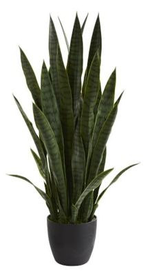 Online Designer Combined Living/Dining FAUX PLANT