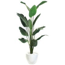 Online Designer Bedroom 7.5' Bird of Paradise Floor Foliage Tree in Planter
