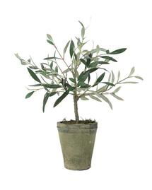 Online Designer Kitchen Faux Potted Charleston Olive Tree