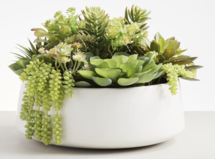 Online Designer Living Room Faux Succulent Arrangement in Ceramic Planter