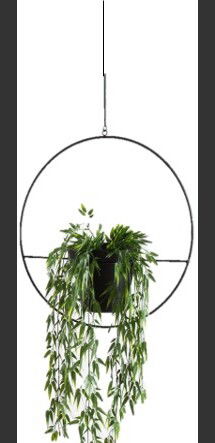 Online Designer Bathroom Isai Hoop Metal Hanging Planter