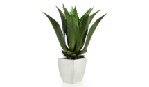 Online Designer Living Room Faux Agave Bush With Square Pot