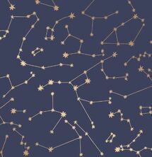 Online Designer Nursery Constellations Wallpaper - Navy