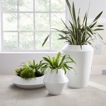 Online Designer Combined Living/Dining Modernist Planters