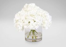 Online Designer Living Room White Hydrangea Watergarden