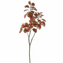 Online Designer Combined Living/Dining Cotinus Coggygria Folia Branch