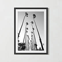 Online Designer Bathroom 'Palm Trees Road' Photographic Print In Black Frame 17.5"X21.5"