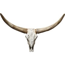 Online Designer Living Room Steer Skull Wall Décor