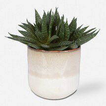 Online Designer Bathroom Doha Succulent Accent