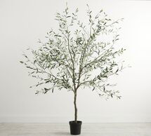 Online Designer Combined Living/Dining Faux Potted Olive Trees-8'