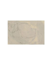 Online Designer Bedroom Sleeping Cat III. Minimalist Cat Print