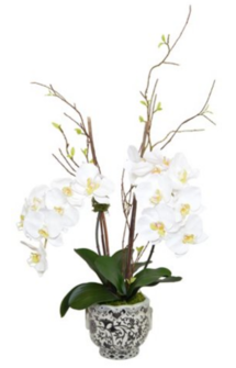 Online Designer Hallway/Entry 35" Phal Orchid Arrangement, Faux