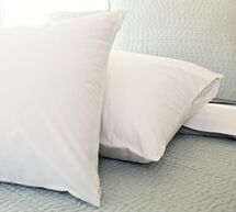 Online Designer Bedroom ULTRA PILLOW PROTECTORS