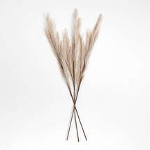 Online Designer Combined Living/Dining  Pampas Grass 